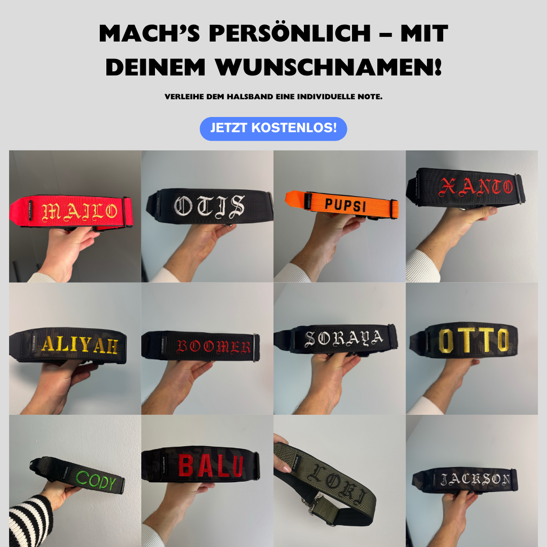 Taktisches Halsband mit Griff - Pink - BulletPaws
