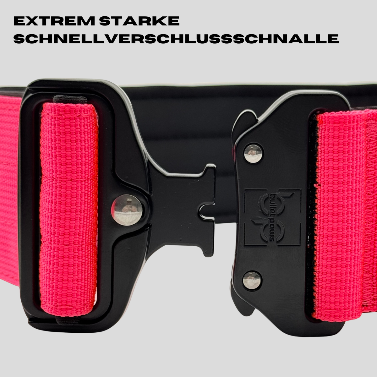 5cm Alpha Hundehalsband mit Griff - Pink