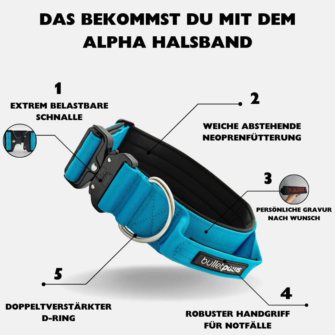 5cm Alpha Hundehalsband mit Griff - Babyblau