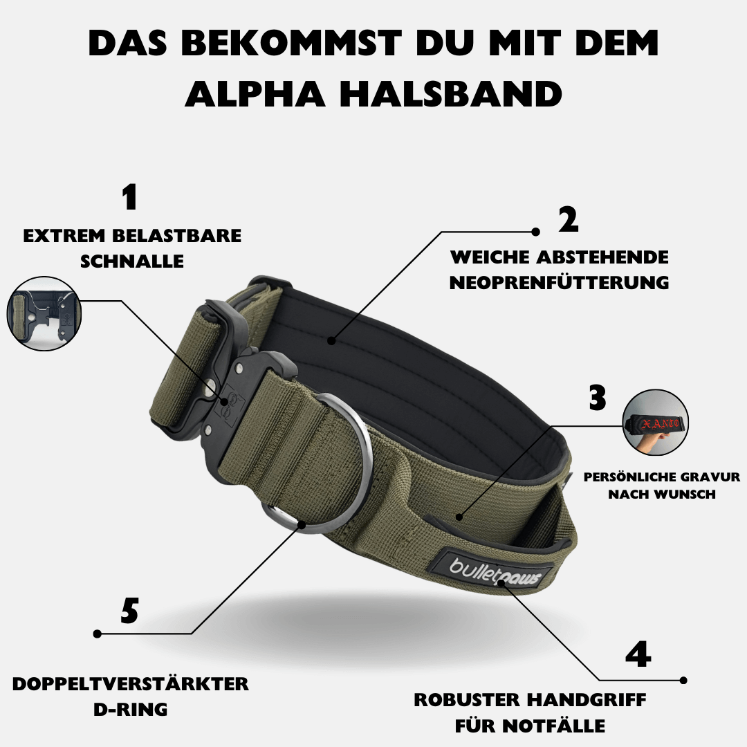 5cm Alpha Hundehalsband mit Griff - Khaki