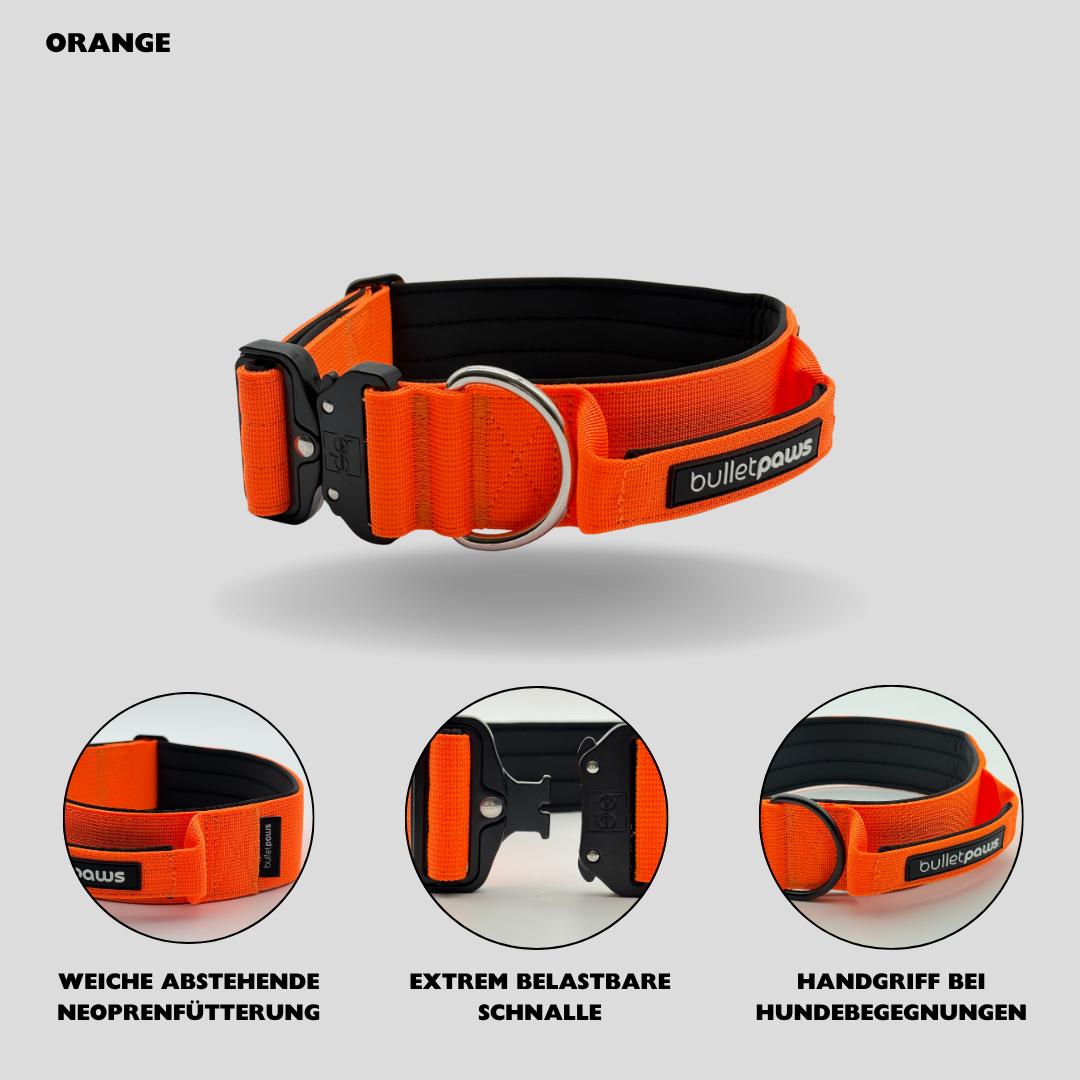 Alpha Hundehalsband mit Griff - Orange - BulletPaws