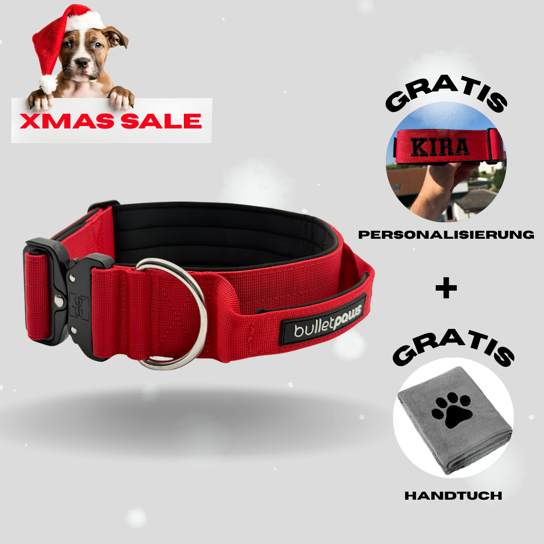 5cm Alpha Hundehalsband mit Griff - Rot