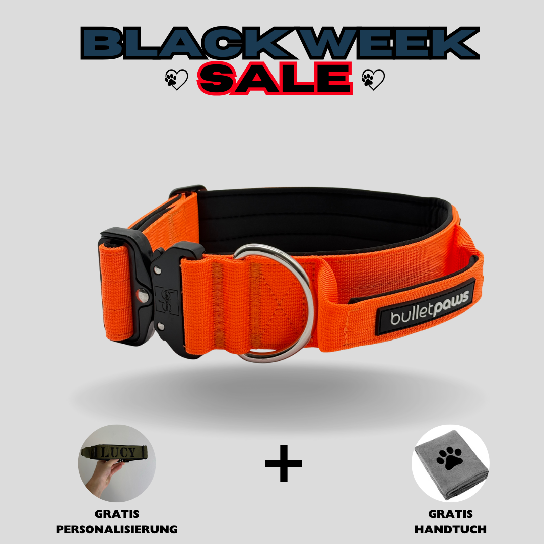 Alpha Hundehalsband mit Griff - Orange