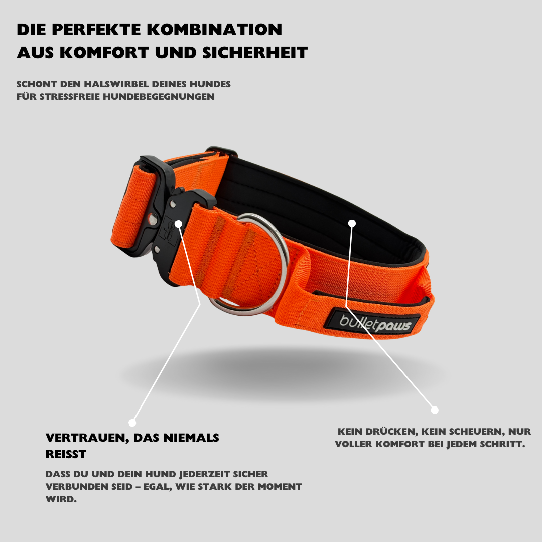 Alpha Hundehalsband mit Griff - Orange - BulletPaws