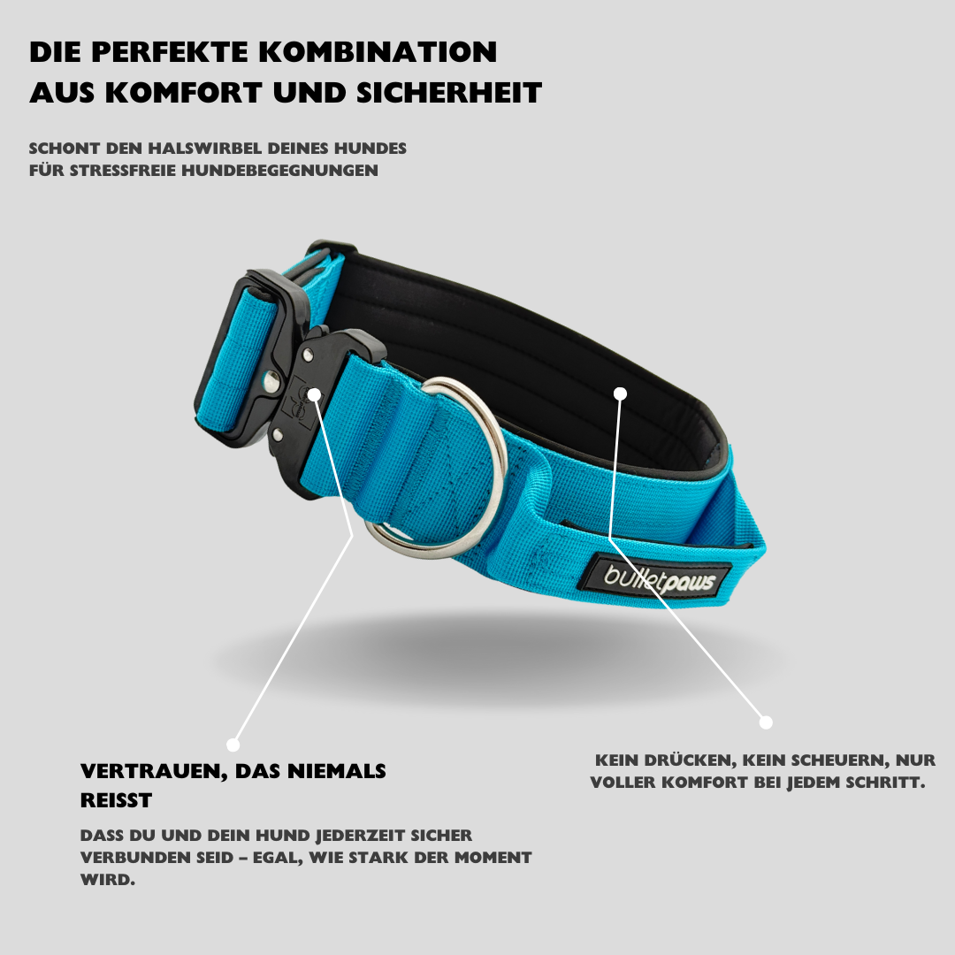 Alpha Hundehalsband mit Griff - Babyblau - BulletPaws