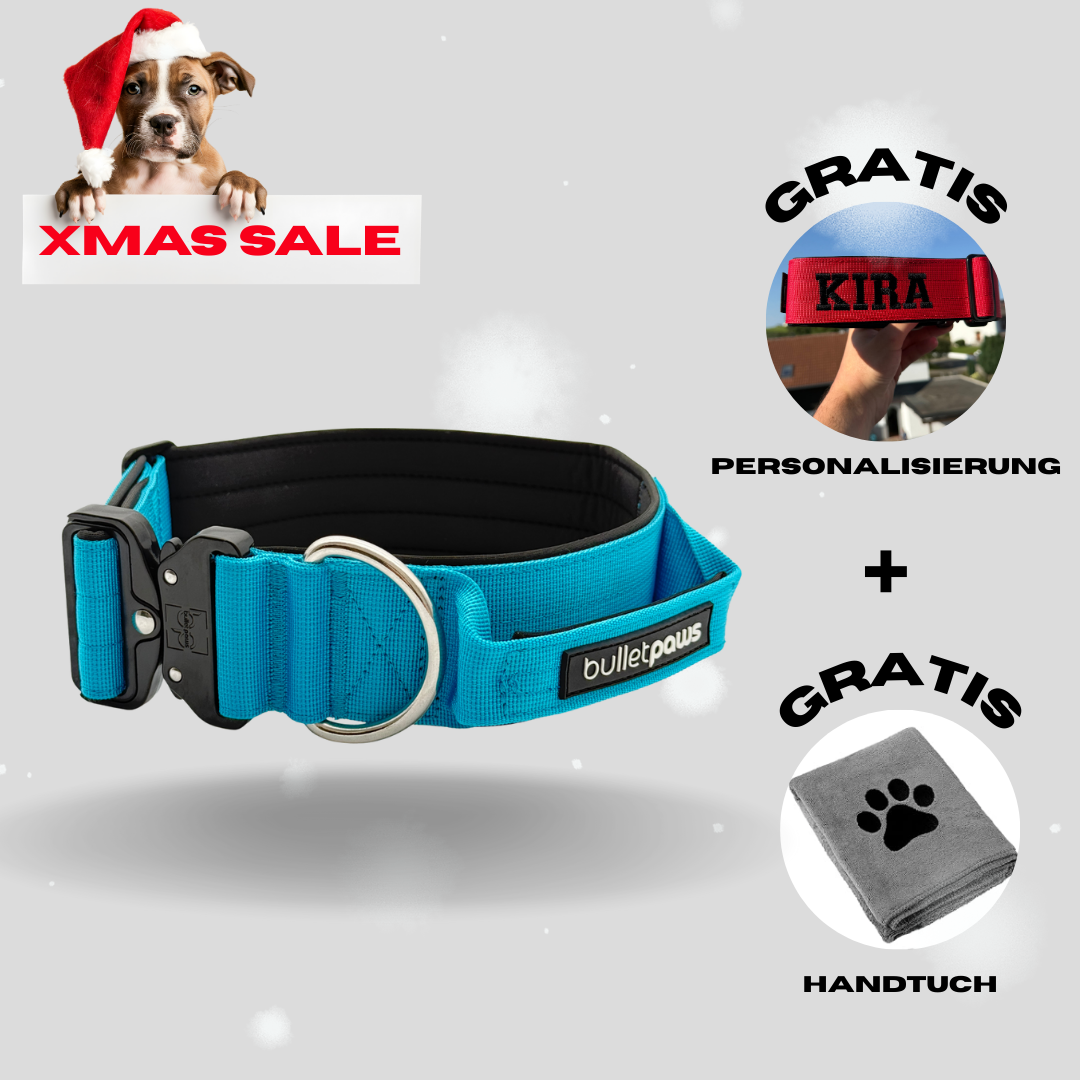 5cm Alpha Hundehalsband mit Griff - Babyblau