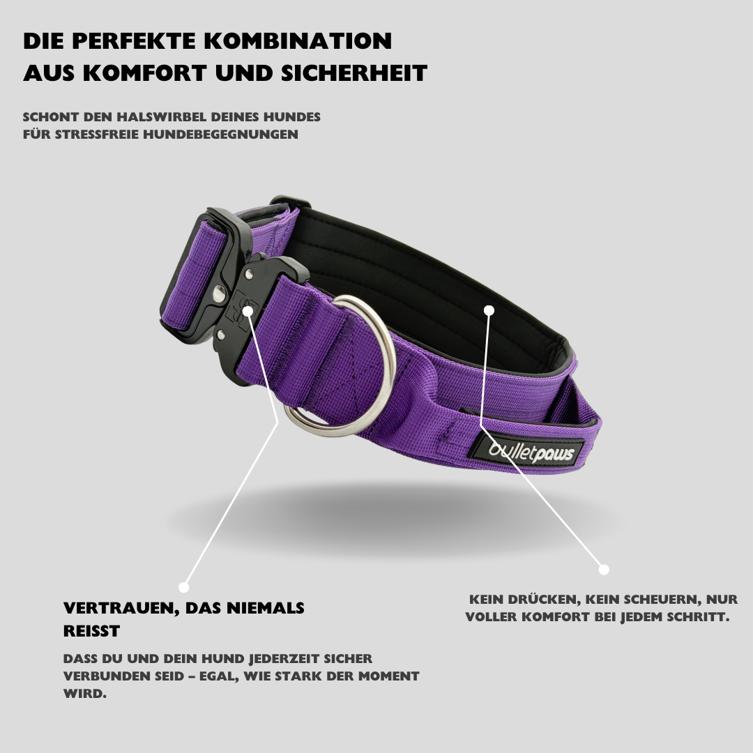 Alpha Hundehalsband mit Griff - Lila - BulletPaws