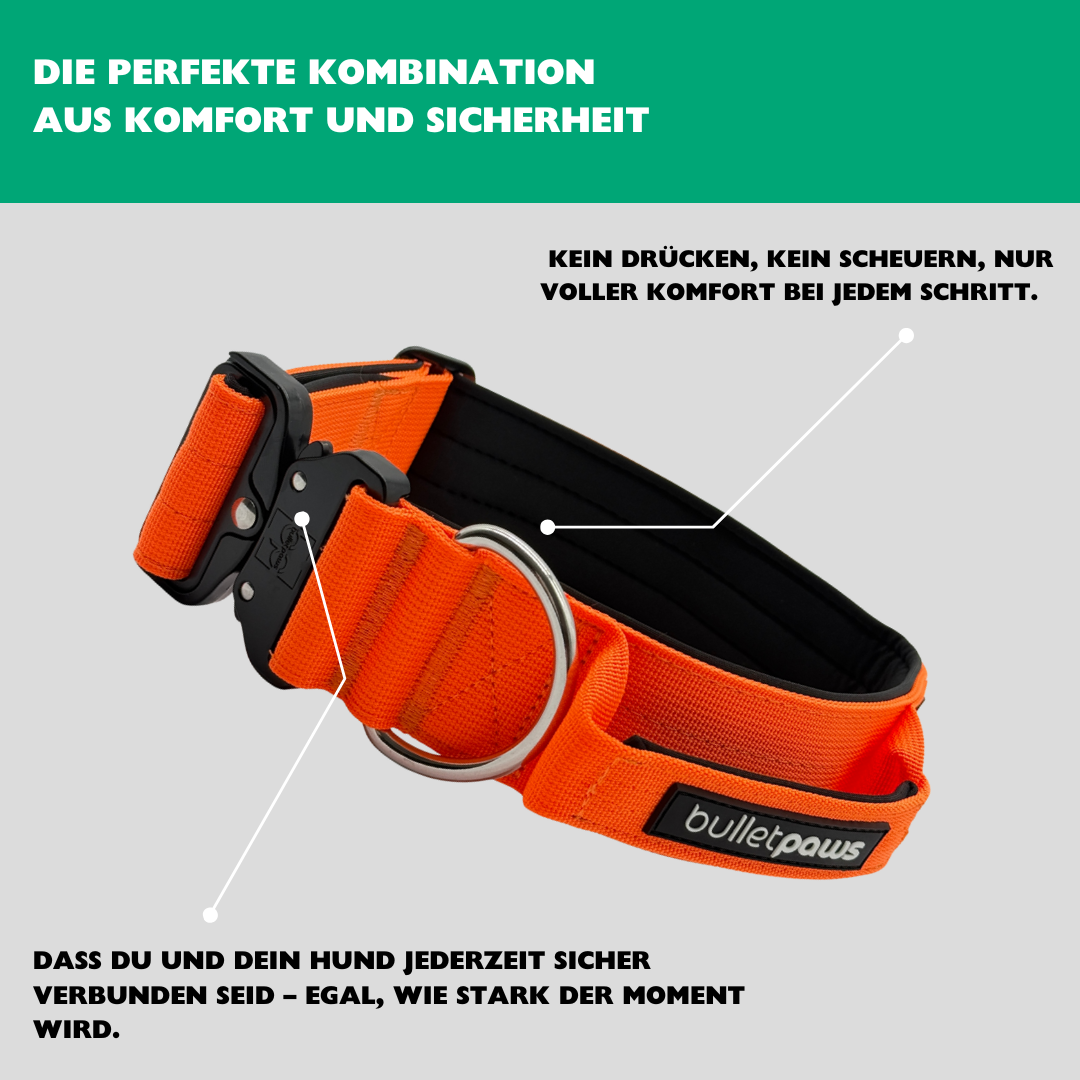 Alpha Hundehalsband mit Griff - Orange
