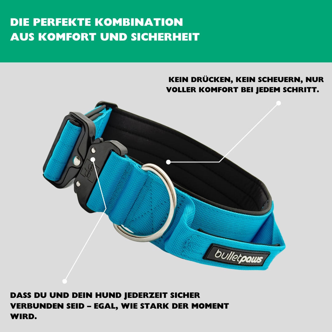 Alpha Hundehalsband mit Griff - Babyblau