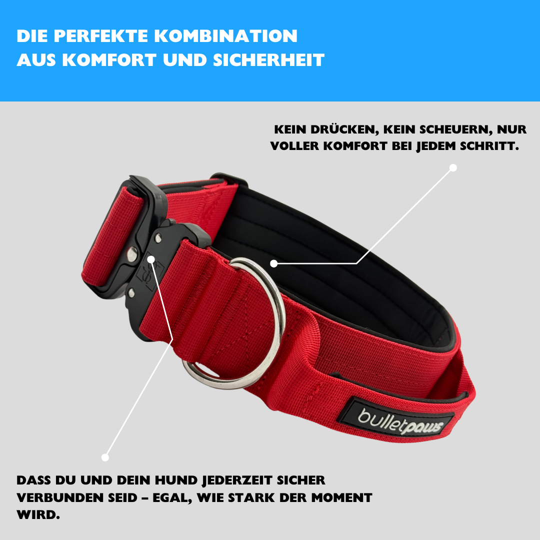 5cm Alpha Hundehalsband mit Griff - Rot