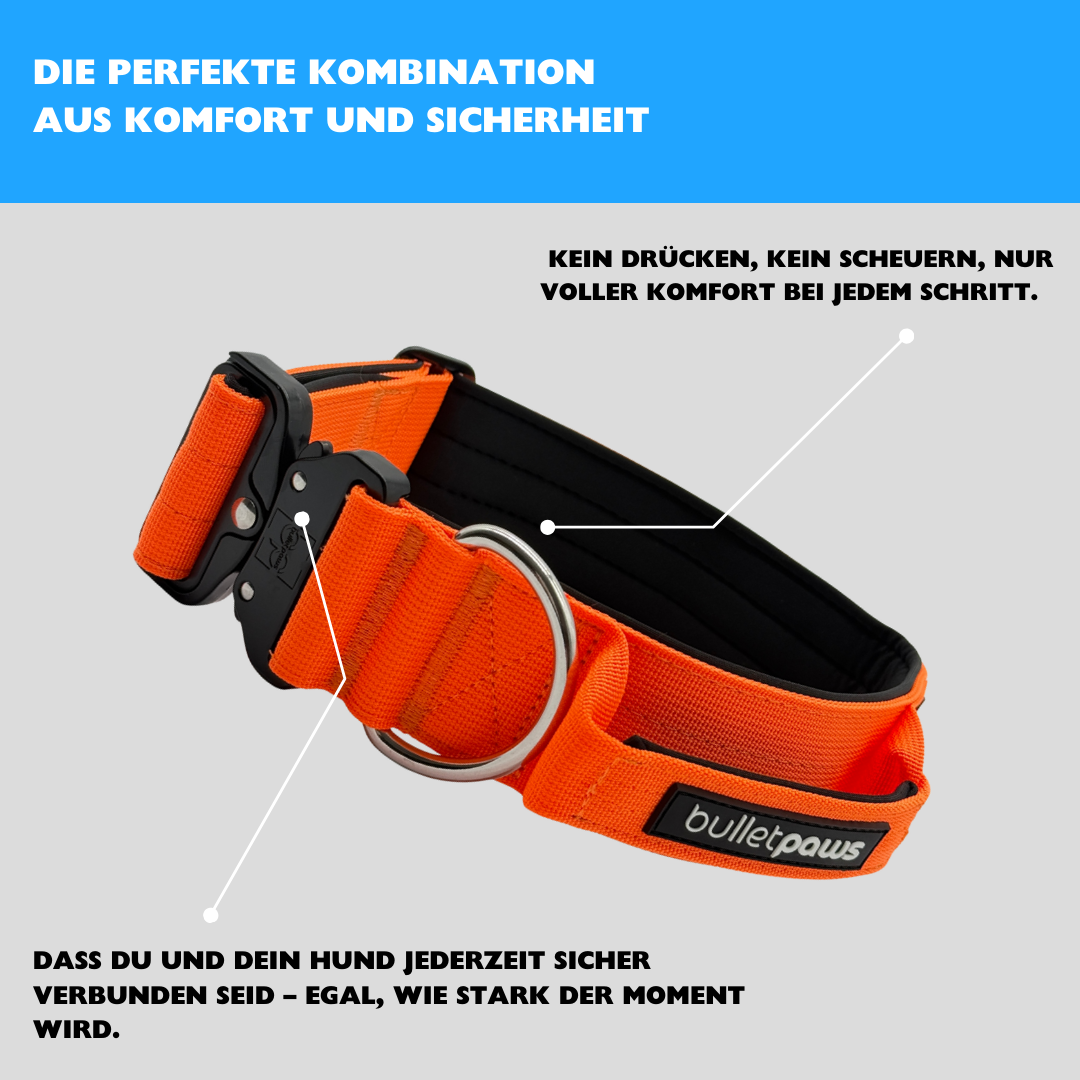 5cm Alpha Hundehalsband mit Griff - Orange