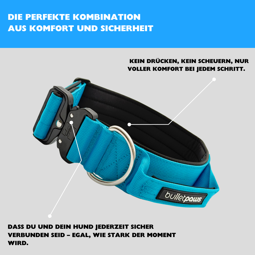 5cm Alpha Hundehalsband mit Griff - Babyblau