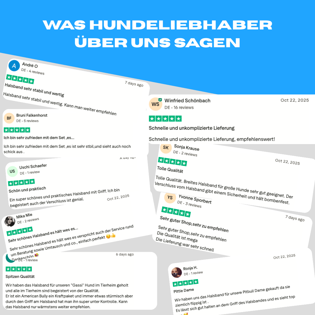 5cm Alpha Hundehalsband mit Griff - Rot