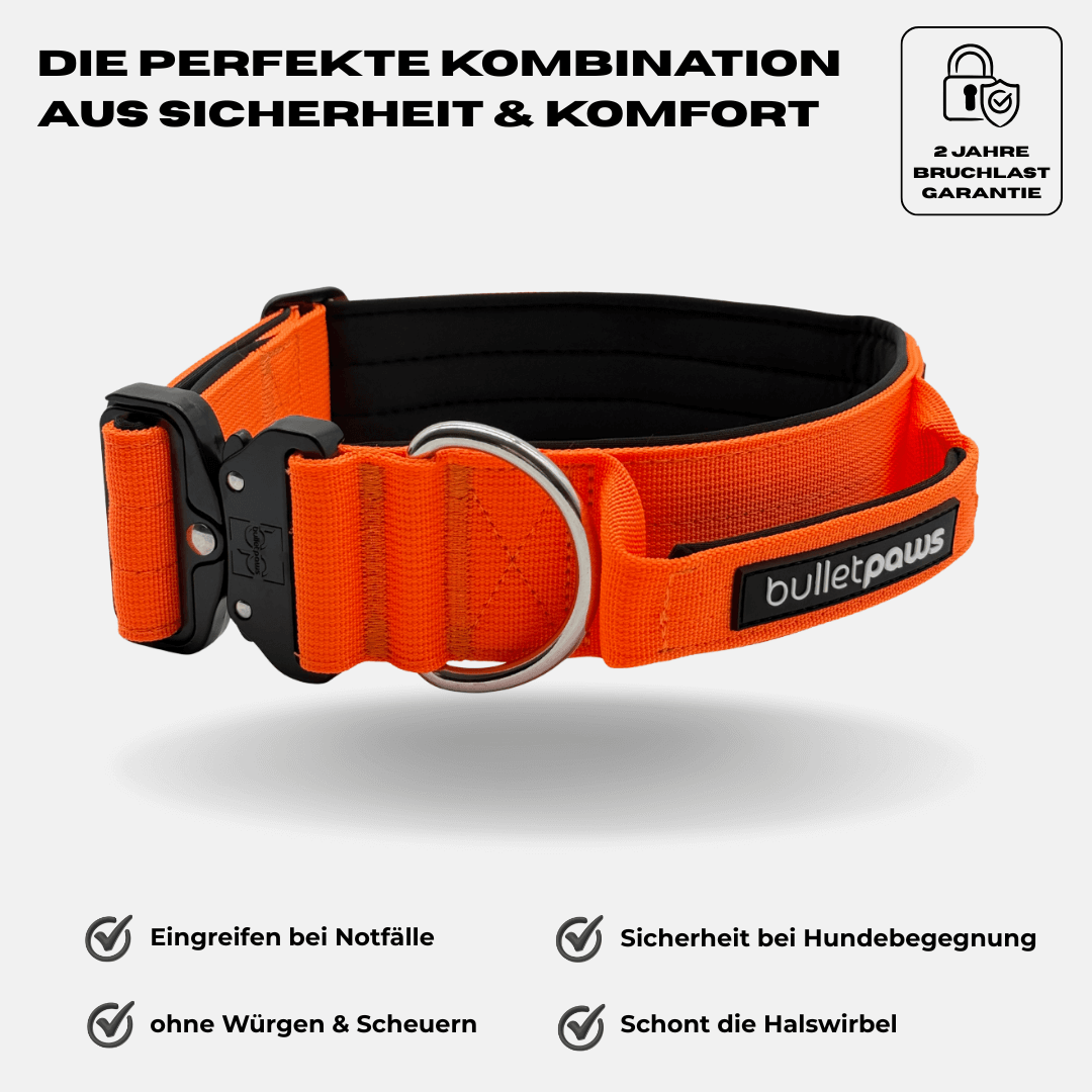 5cm Alpha Hundehalsband mit Griff - Orange - BulletPaws