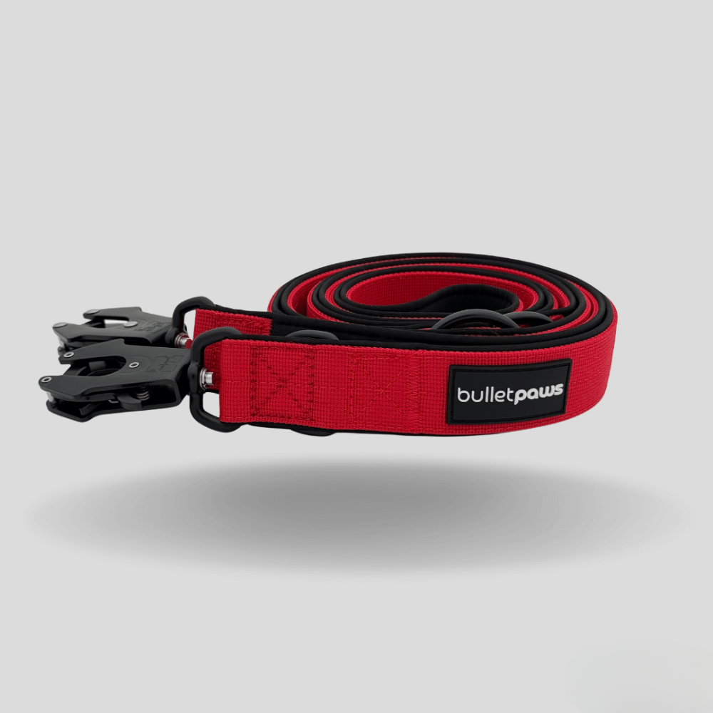 Dreifach verstellbare Hundeleine 2,2m - Rot - BulletPaws