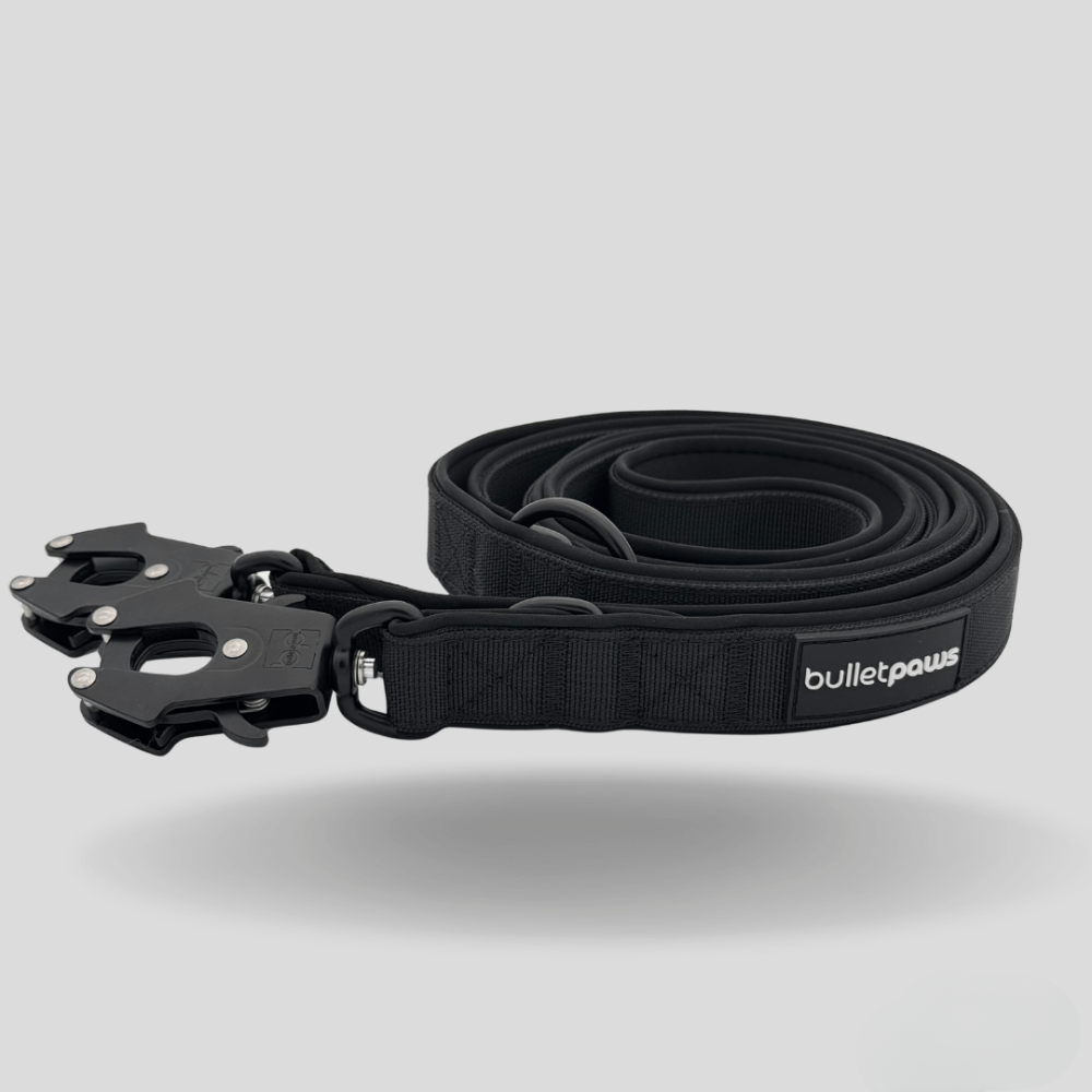 Dreifach verstellbare Hundeleine 2,2m - Schwarz - BulletPaws