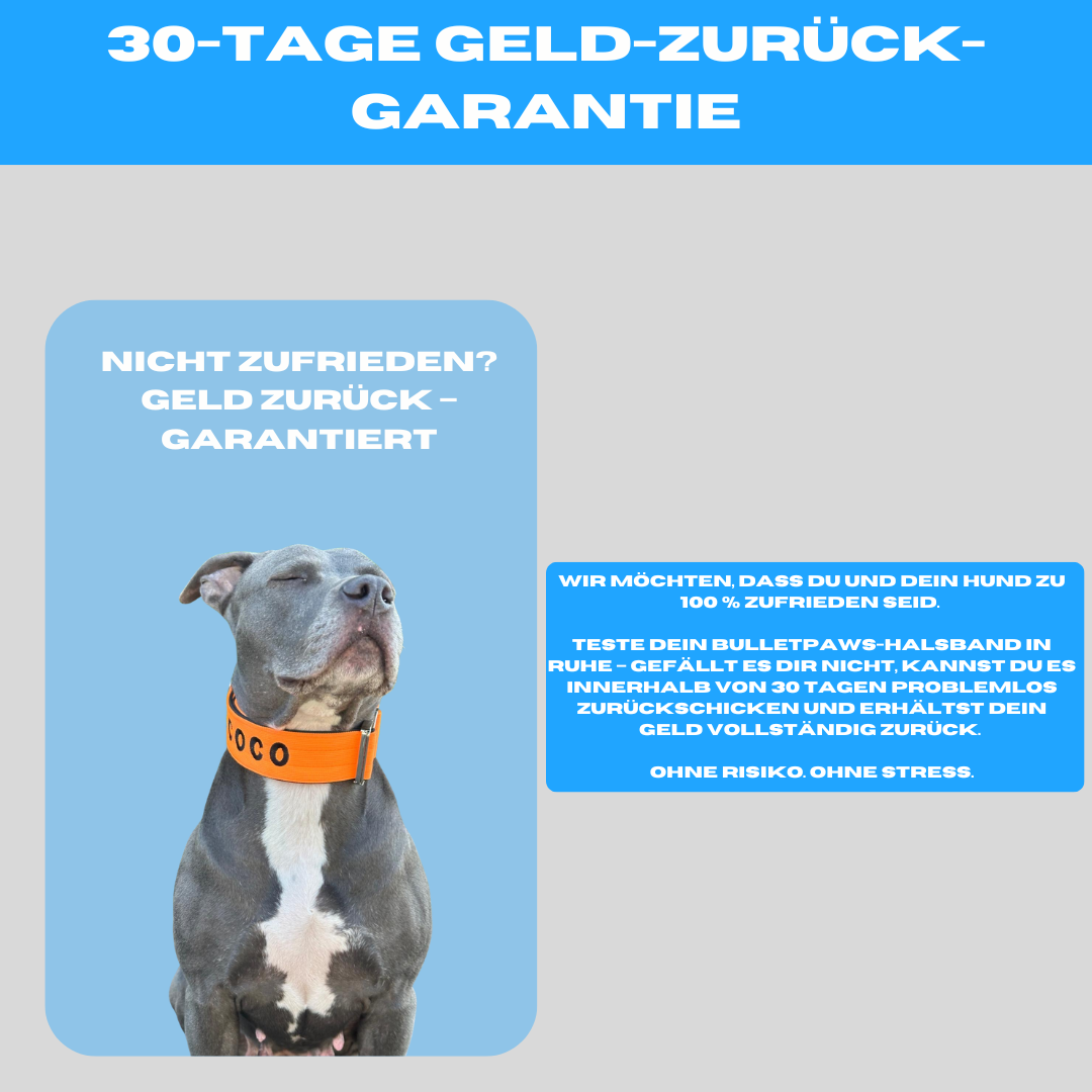 5cm Alpha Hundehalsband mit Griff - Rot