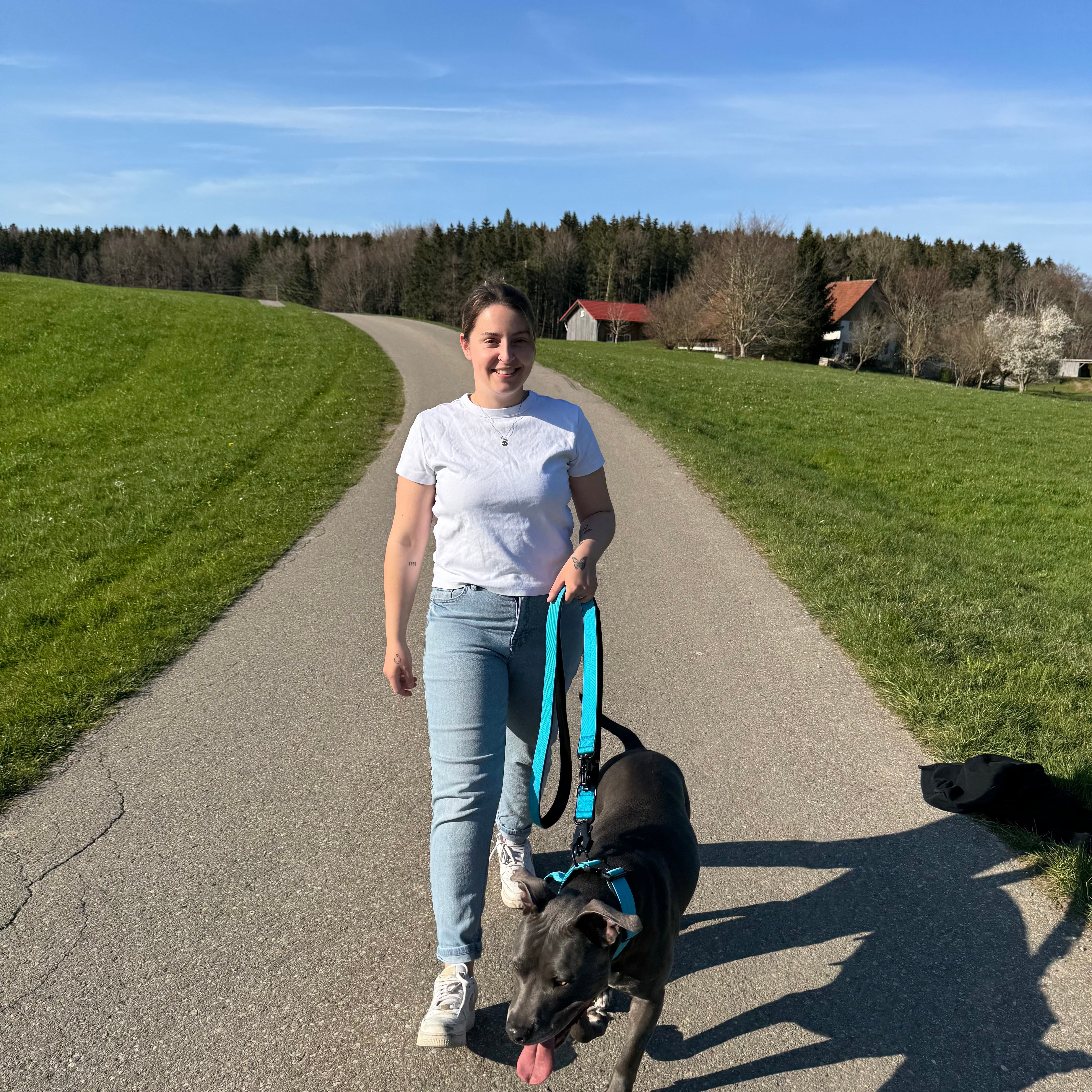 Alpha Hundehalsband mit Griff - Lila - BulletPaws