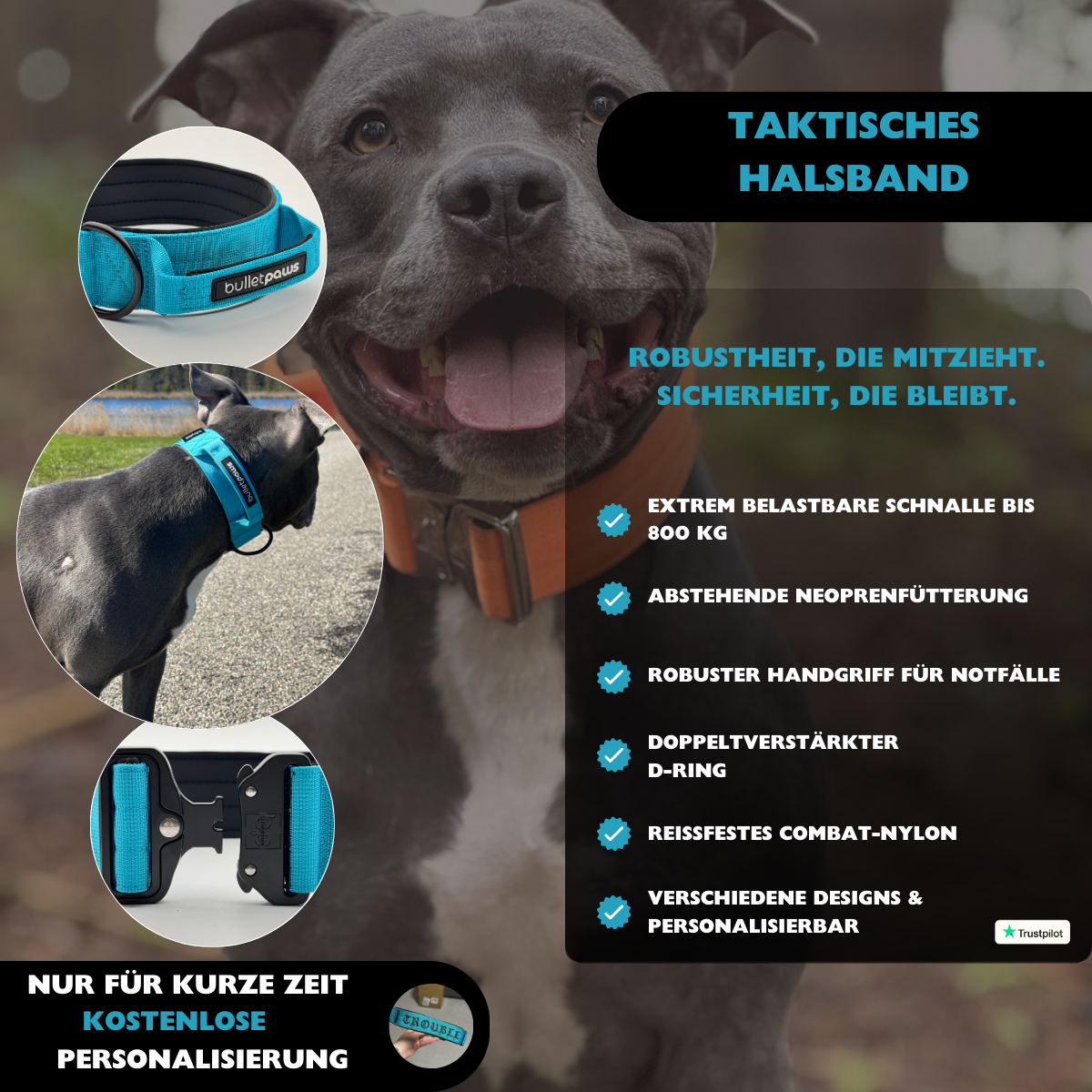 Taktisches Halsband® mit Griff - Babyblau - BulletPaws