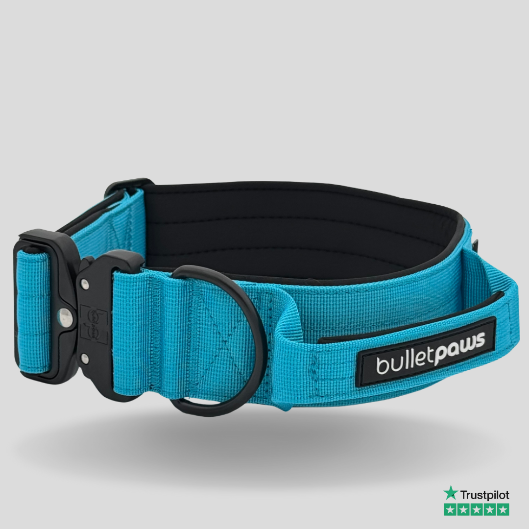 Taktisches Halsband® mit Griff - Babyblau - BulletPaws