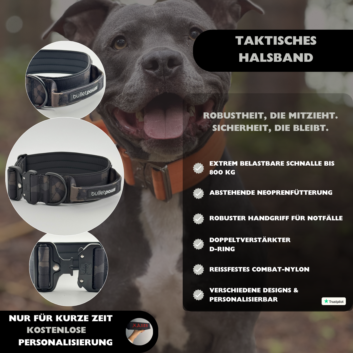 Taktisches Halsband® mit Griff - Camouflage - BulletPaws