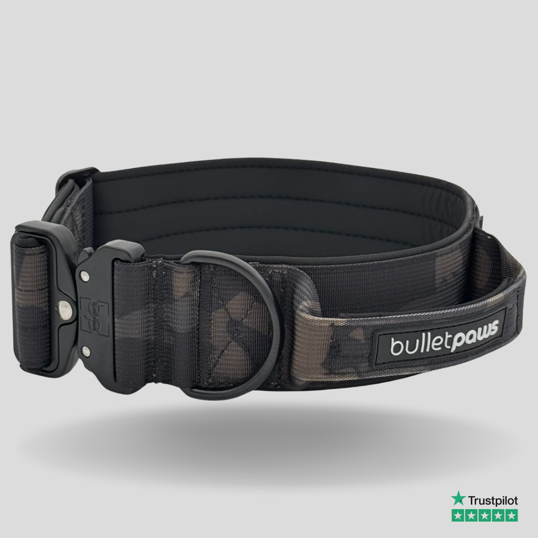 Taktisches Halsband® mit Griff - Camouflage - BulletPaws