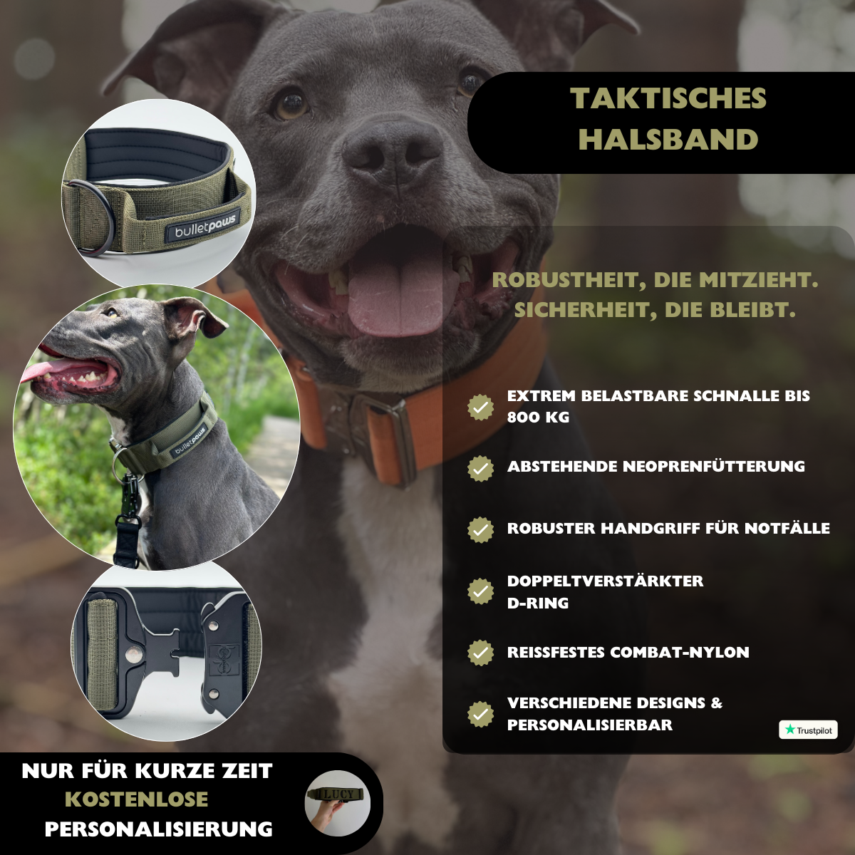 Taktisches Halsband® mit Griff - Khaki - BulletPaws