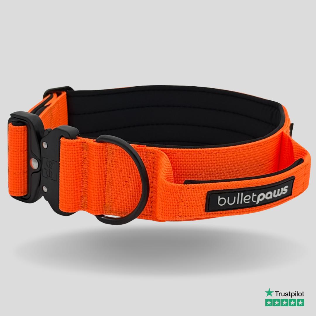 Taktisches Halsband® mit Griff - Orange - BulletPaws