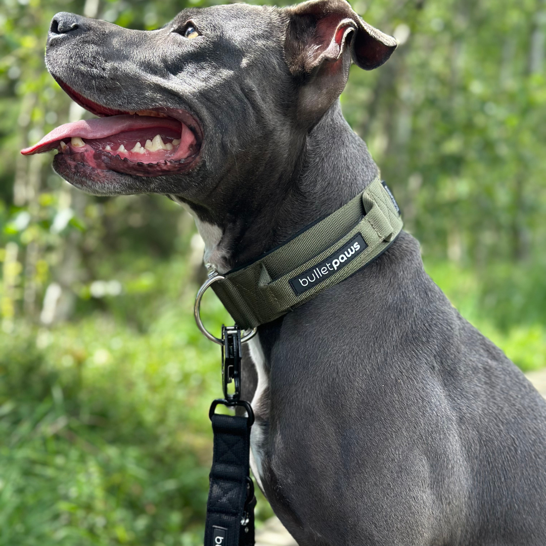 Taktisches Halsband mit Griff - Pink - BulletPaws