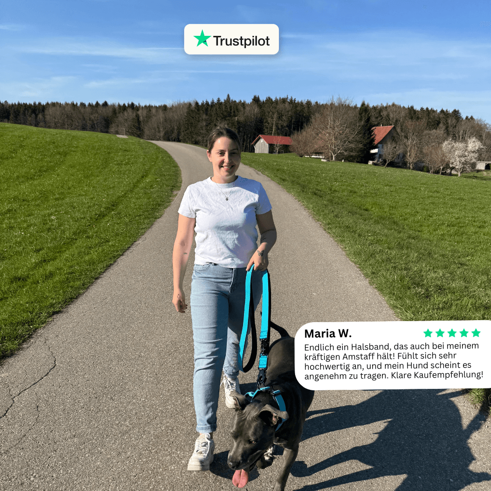 Alpha Hundehalsband® mit Griff - Babyblau