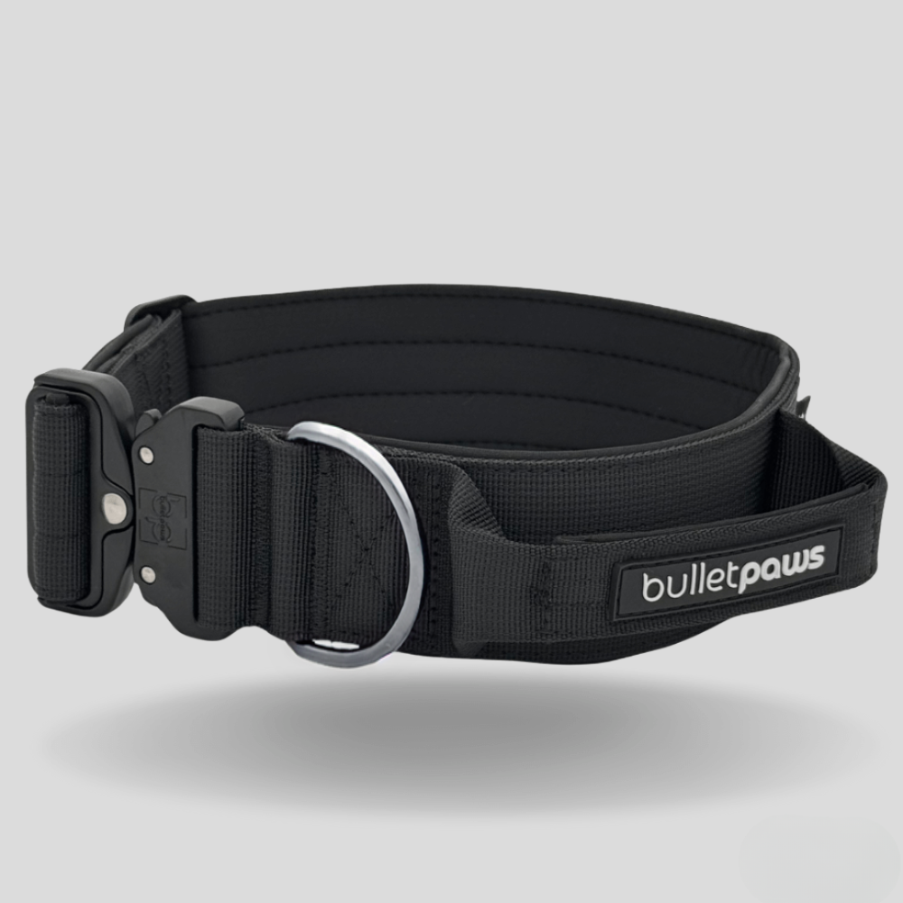 Alpha Hundehalsband® mit Griff - Schwarz