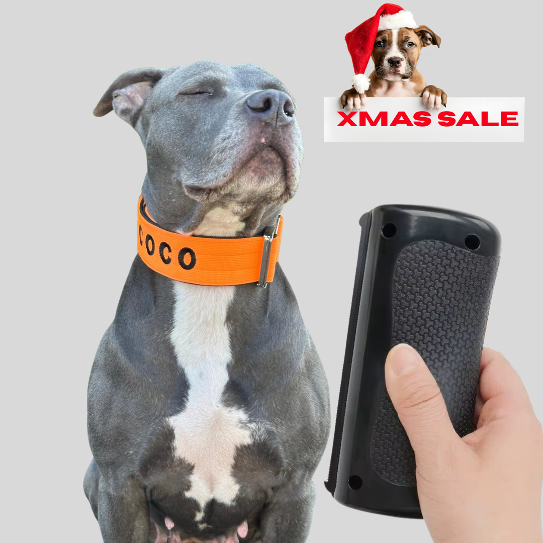 Alpha Unterfellbürste für Hunde