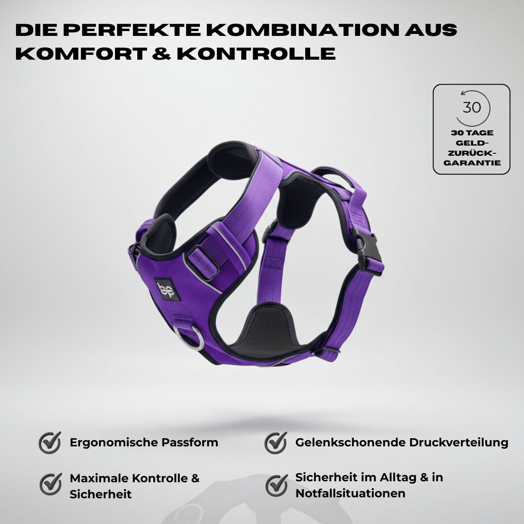 Alpha Control Hundegeschirr mit Griff - Lila