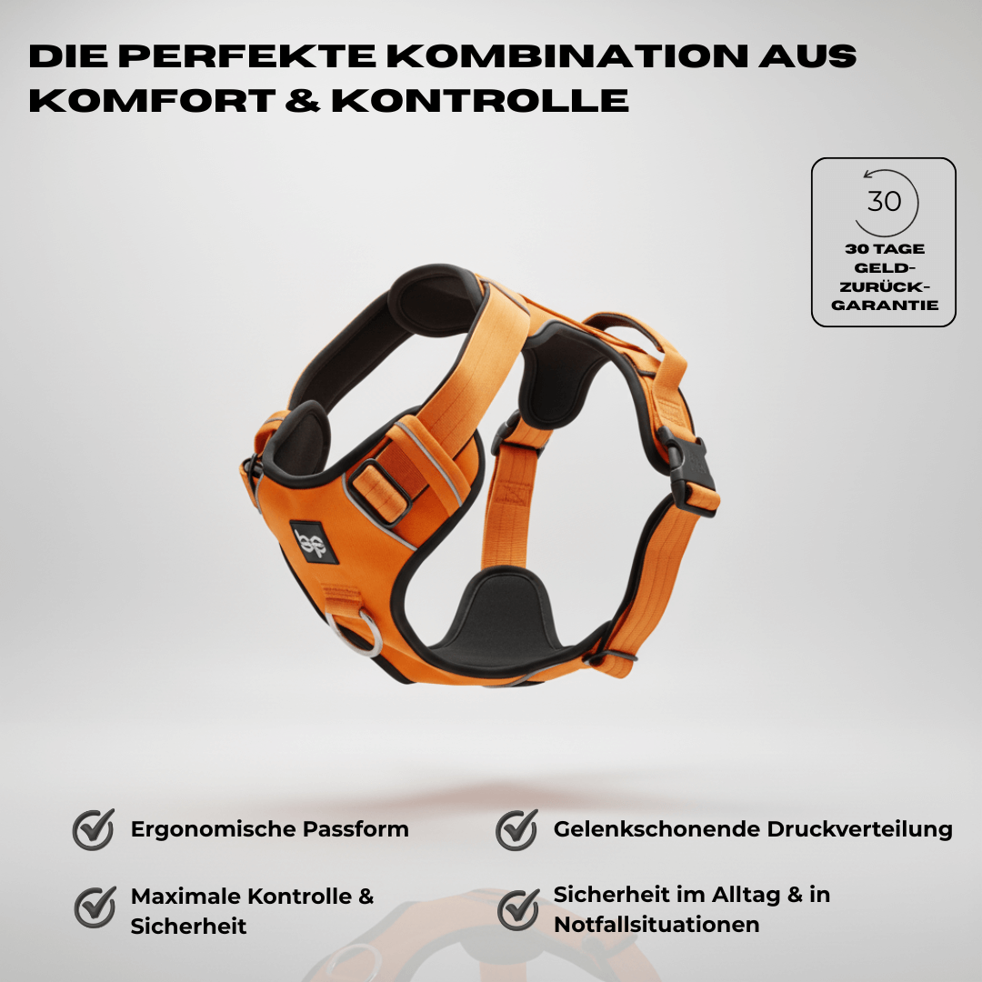 Alpha Control Hundegeschirr mit Griff - Orange