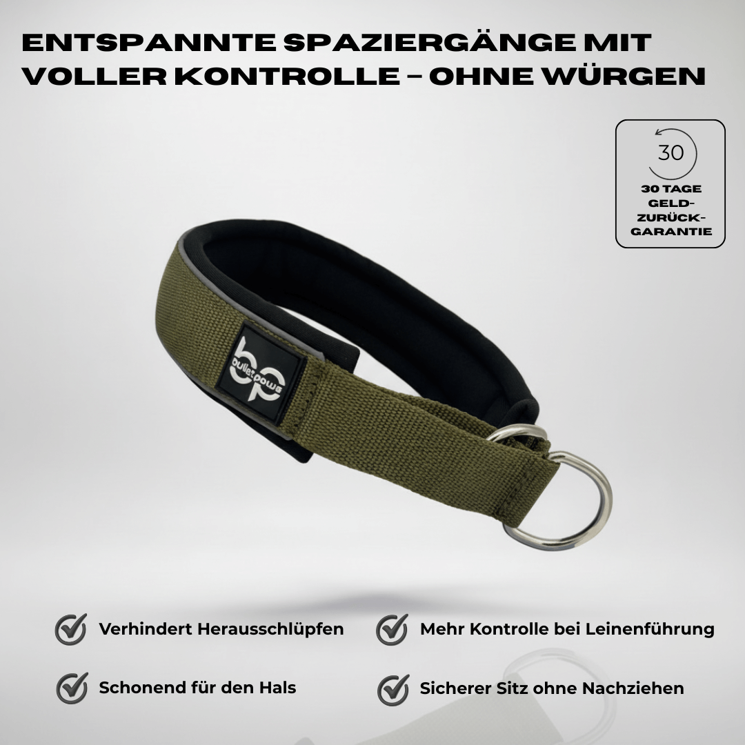 Alpha Control Zugstopp Hundehalsband - Khaki