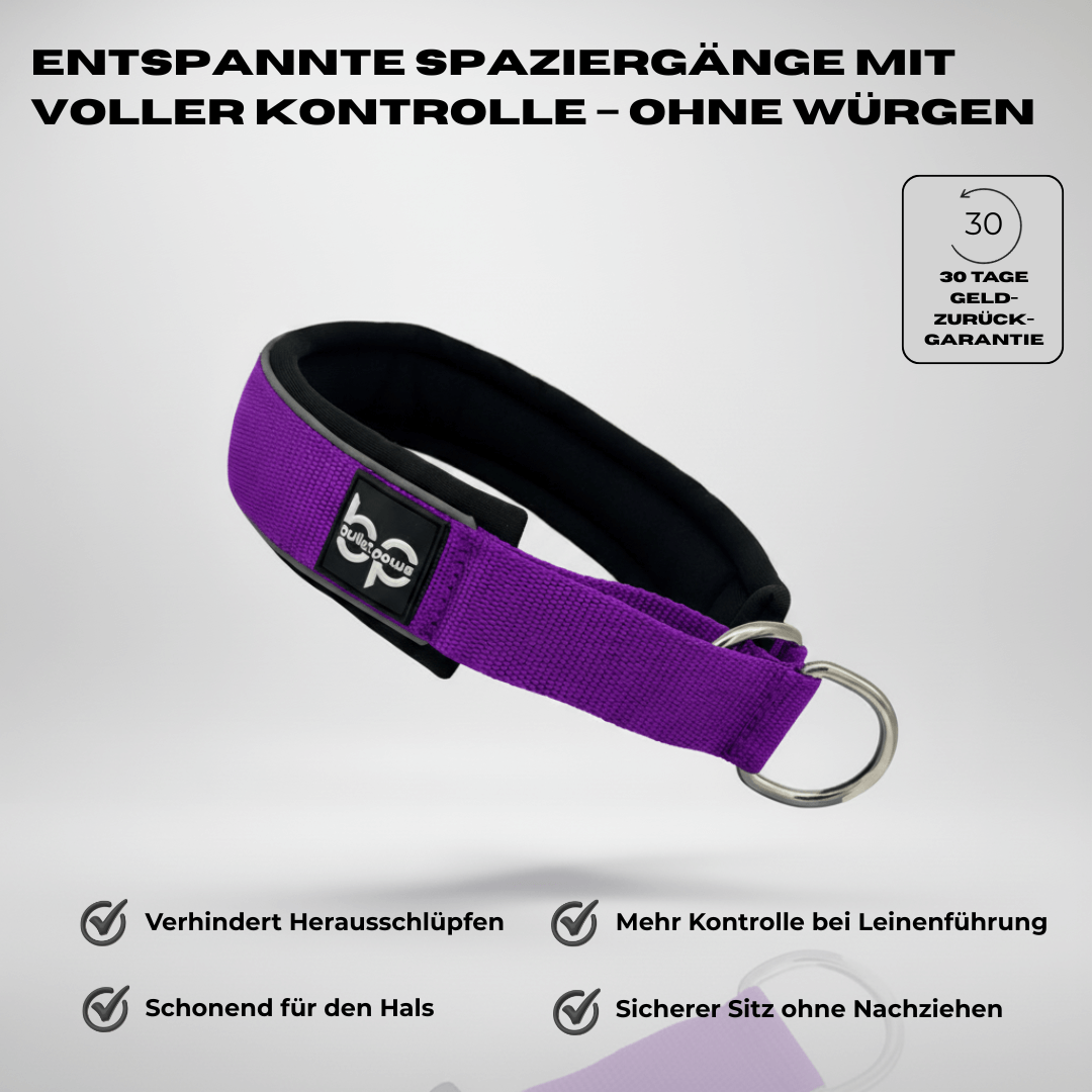 Alpha Control Zugstopp Hundehalsband - Lila