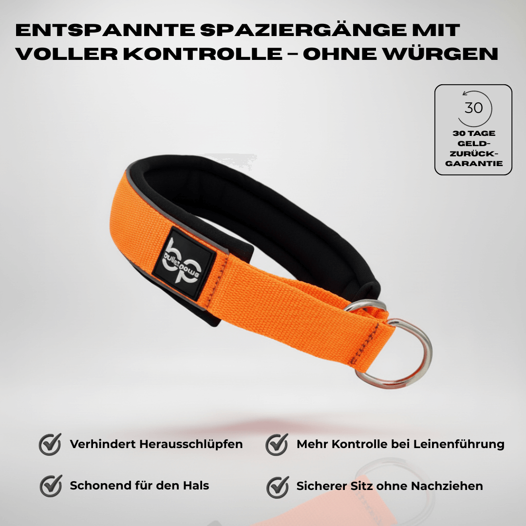 Alpha Control Zugstopp Hundehalsband - Orange