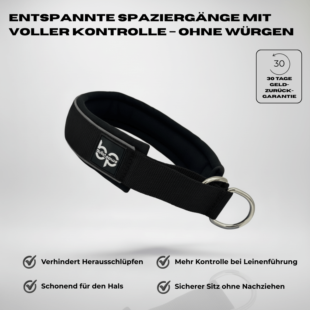 Alpha Control Zugstopp Hundehalsband - Schwarz