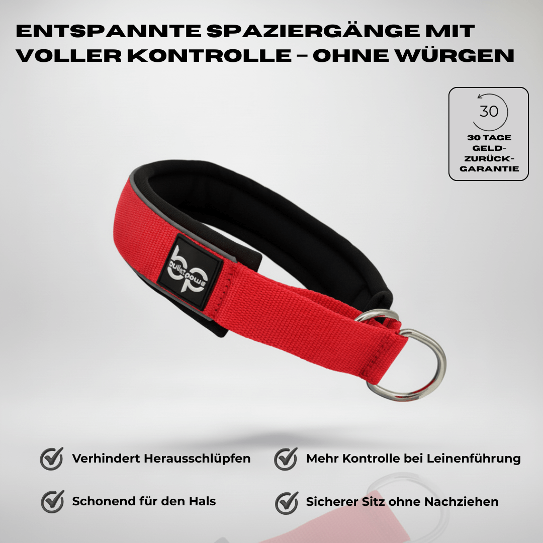 Alpha Control Zugstopp Hundehalsband - Rot