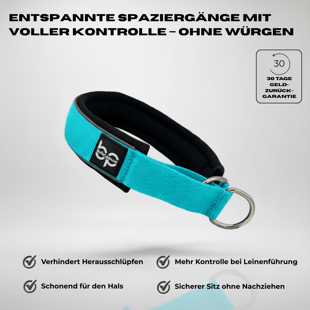 Alpha Control Zugstopp Hundehalsband - Babyblau