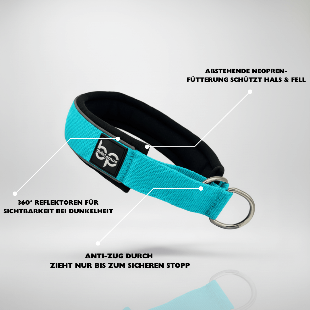 Alpha Control Zugstopp Hundehalsband - Babyblau
