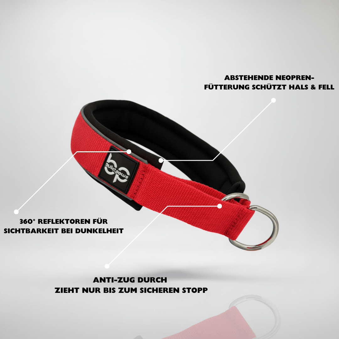 Alpha Control Zugstopp Hundehalsband - Rot