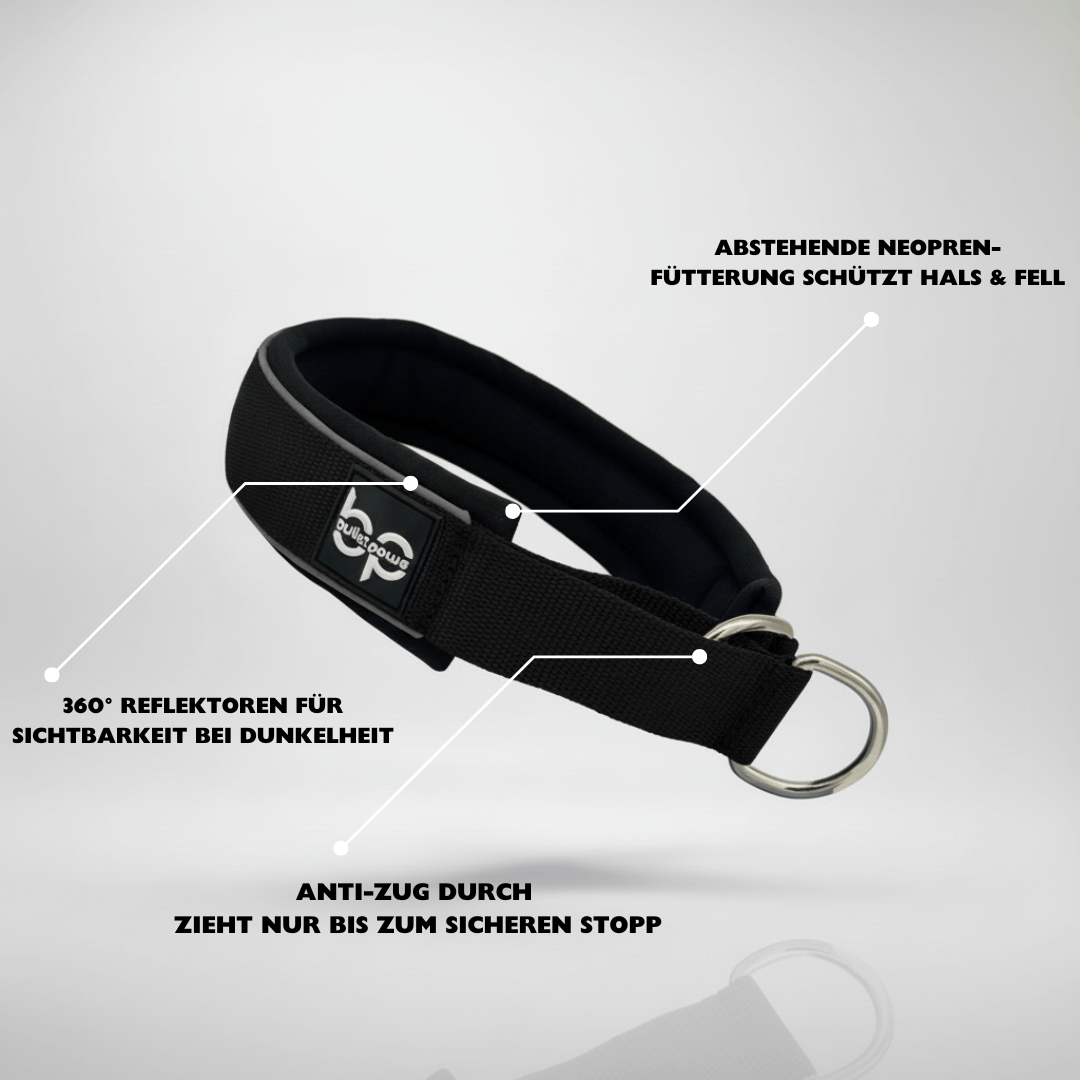 Alpha Control Zugstopp Hundehalsband - Schwarz