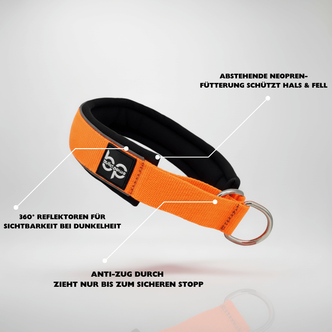 Alpha Control Zugstopp Hundehalsband - Orange