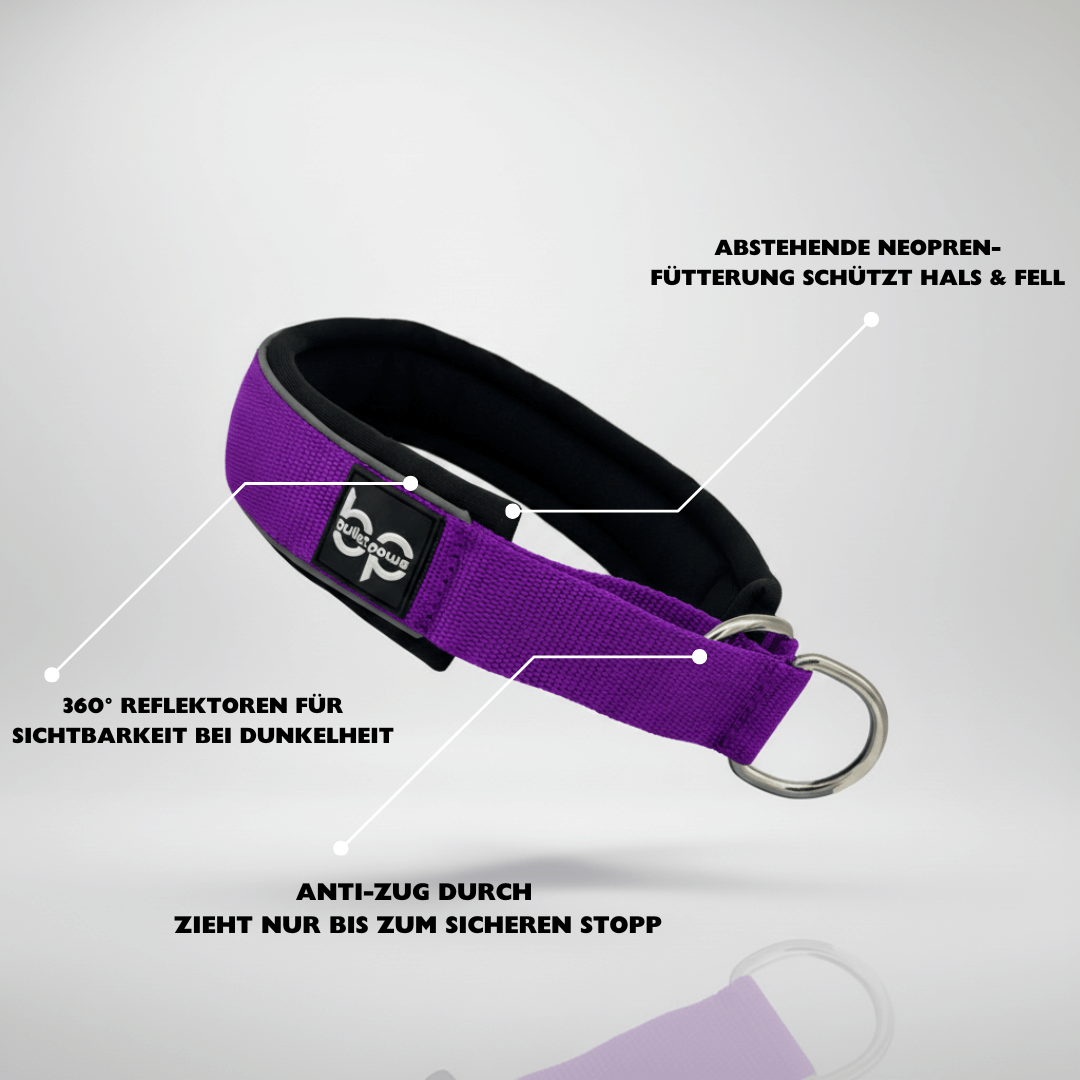 Alpha Control Zugstopp Hundehalsband - Lila