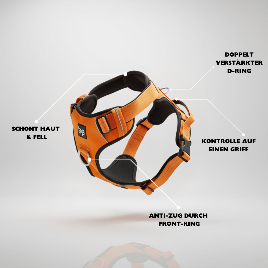 Alpha Control Hundegeschirr mit Griff - Orange