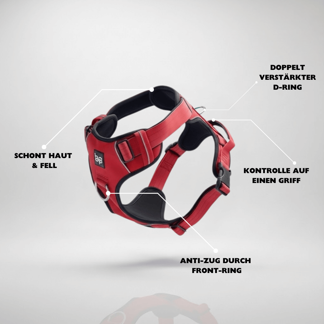 Alpha Control Hundegeschirr mit Griff - Rot