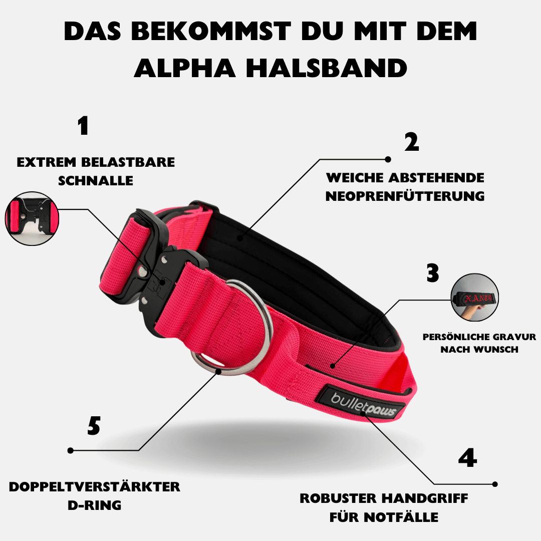4cm Alpha Hundehalsband mit Griff - Pink