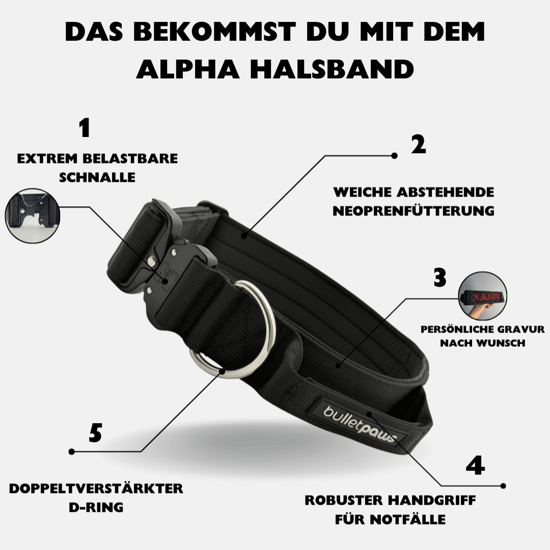 4cm Alpha Hundehalsband mit Griff - Schwarz