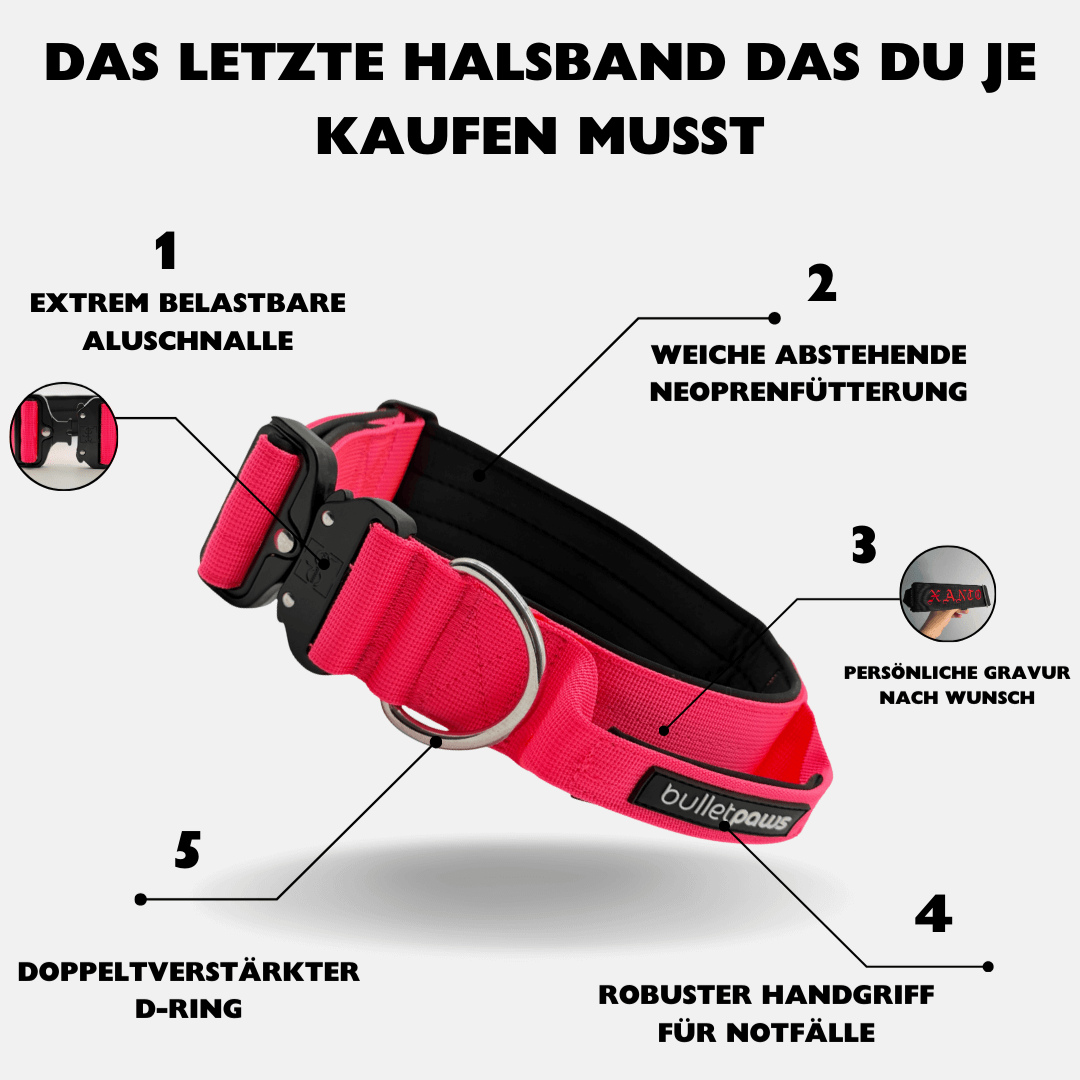 4cm Alpha Hundehalsband mit Griff - Pink - BulletPaws